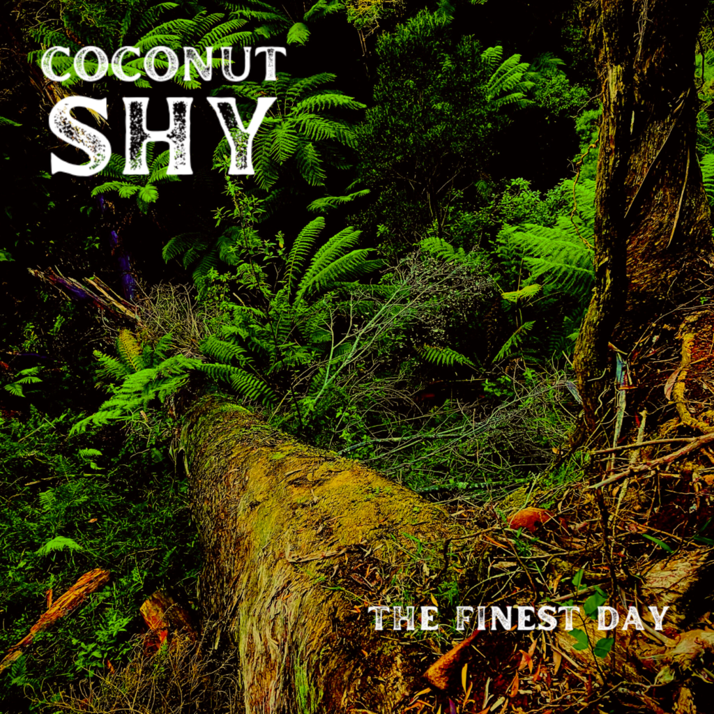 Coconut Shy